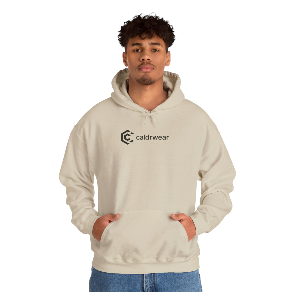 Hoodie — 'Dream Plan Do!' Motivational Graphic Hoodie - caldrwear.com