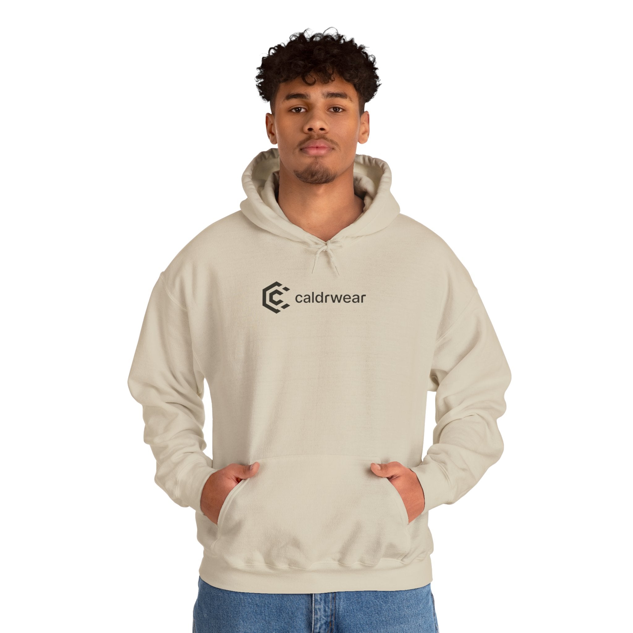 Hoodie — 'Dream Plan Do!' Motivational Graphic Hoodie - caldrwear.com