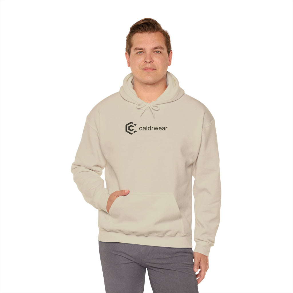 Hoodie — 'Dream Plan Do!' Motivational Graphic Hoodie - caldrwear.com