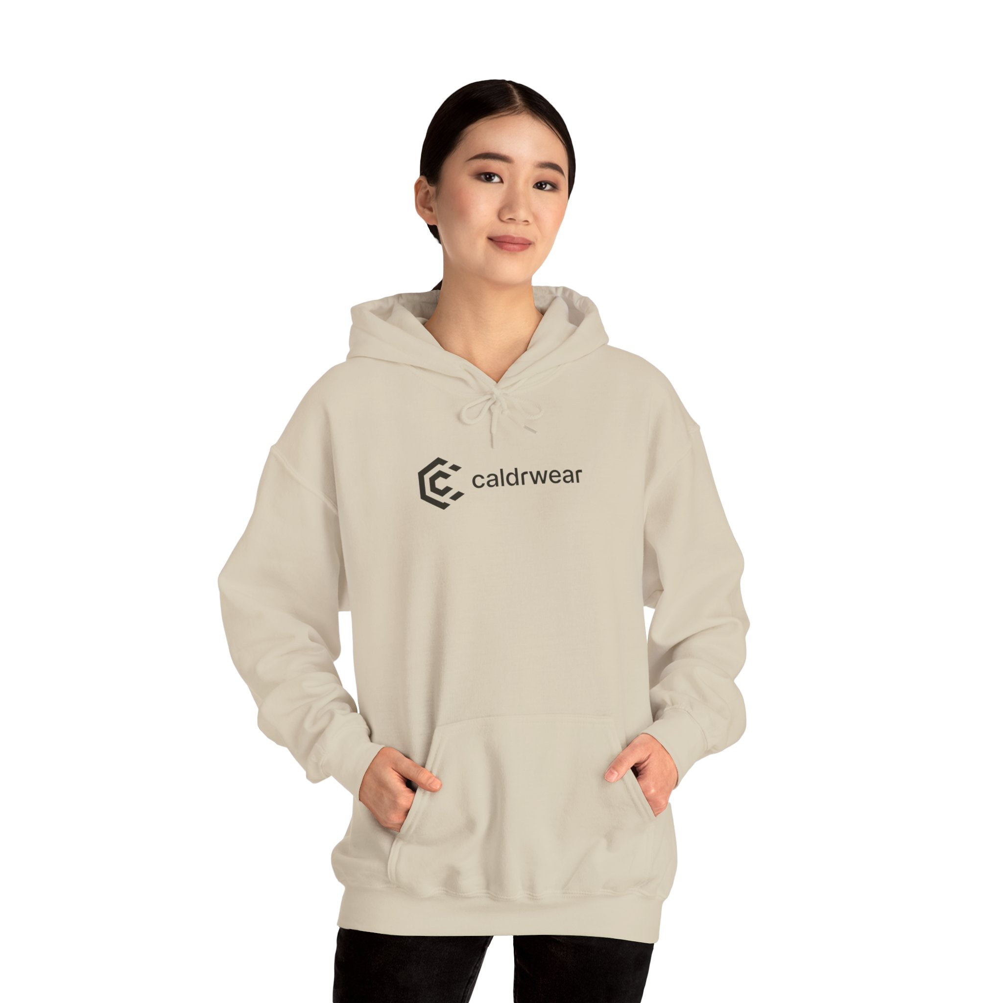 Hoodie — 'Dream Plan Do!' Motivational Graphic Hoodie - caldrwear.com