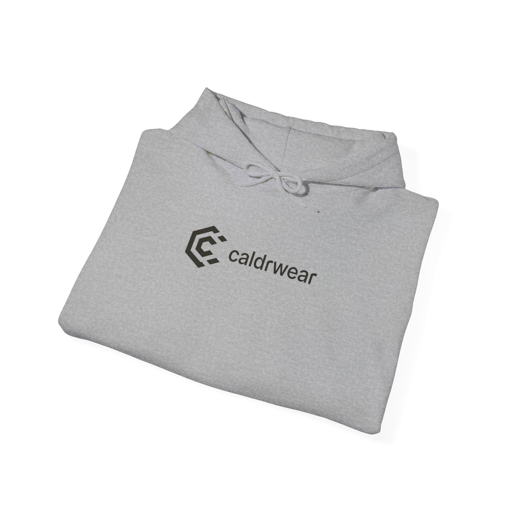 Hoodie — 'Dream Plan Do!' Motivational Graphic Hoodie - caldrwear.com