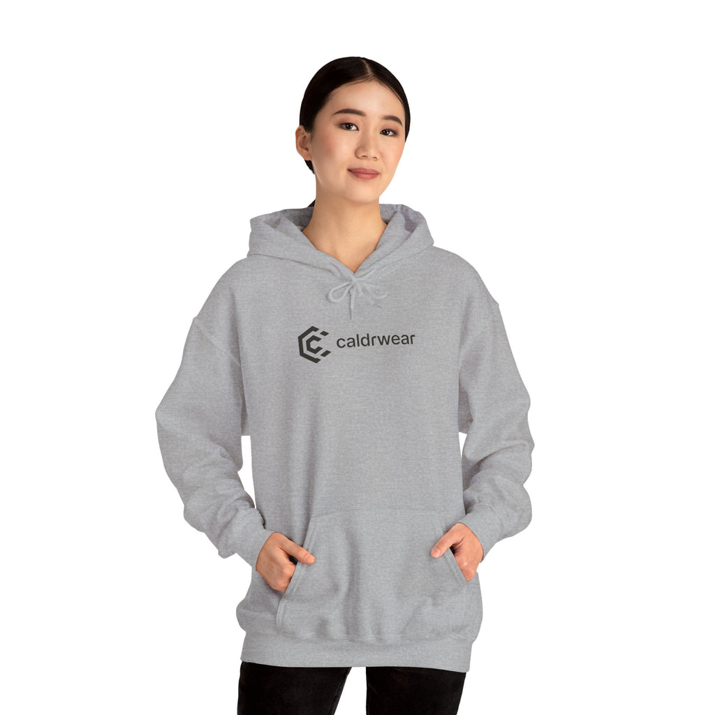 Hoodie — 'Dream Plan Do!' Motivational Graphic Hoodie - caldrwear.com