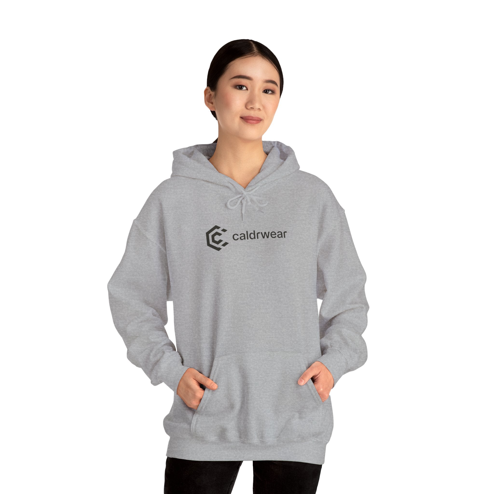 Hoodie — 'Dream Plan Do!' Motivational Graphic Hoodie - caldrwear.com