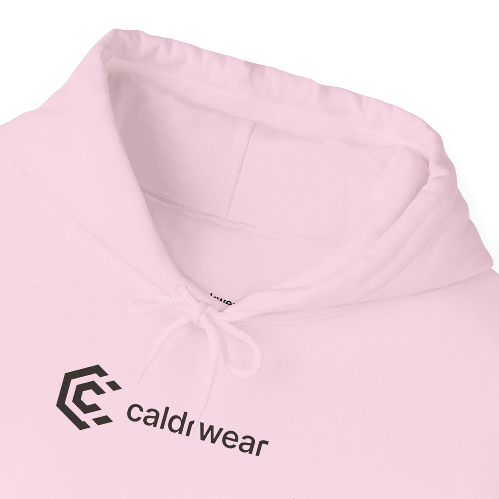 Hoodie — 'Dream Plan Do!' Motivational Graphic Hoodie - caldrwear.com
